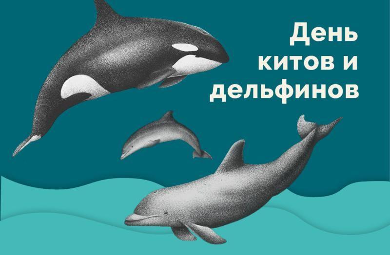 Книжно–иллюстративная выставка «Загадочный мир китов и дельфинов»