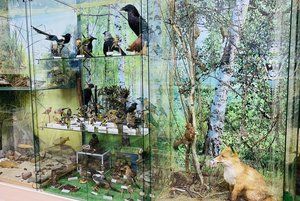 Экспозиции Сердобского краеведческого музея