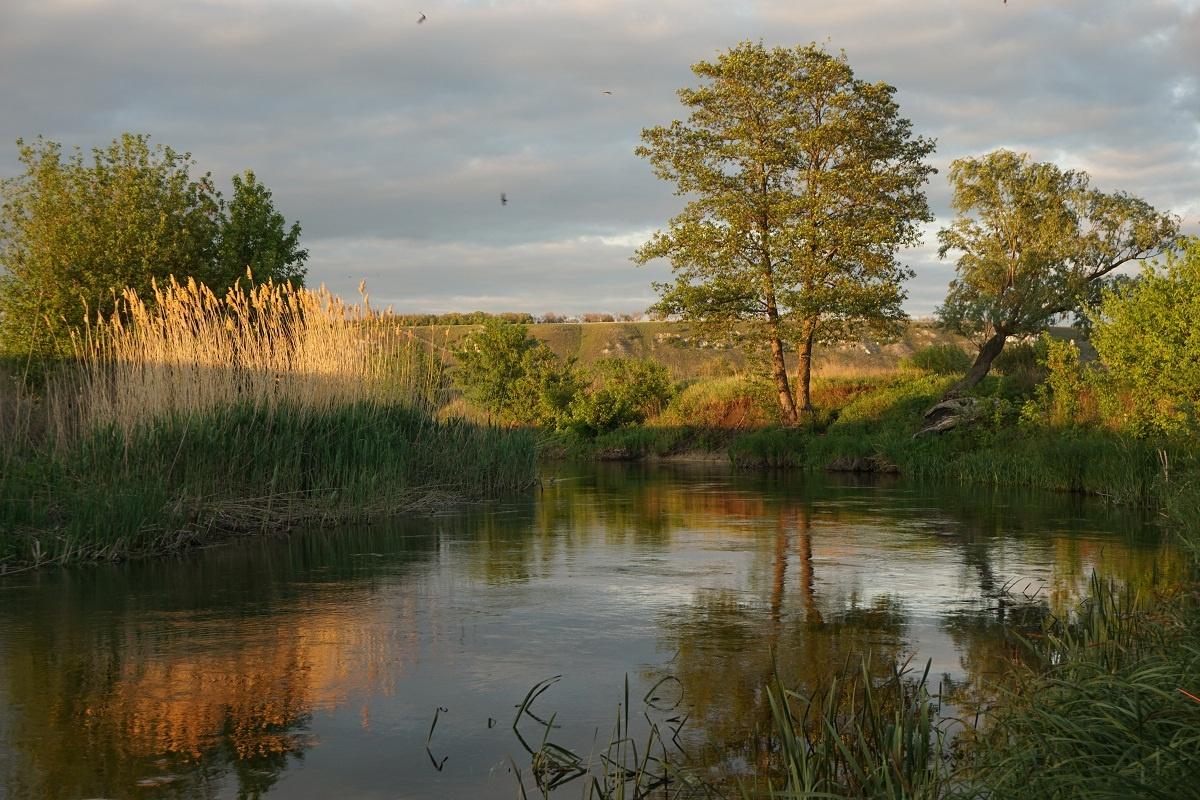Виртуальная выставка «Река Тихая Сосна и ее роль в истории края»