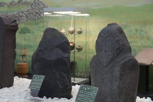 Выставка «Каменные стражи степей Тувы»