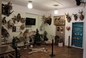 Стационарные выставки музея