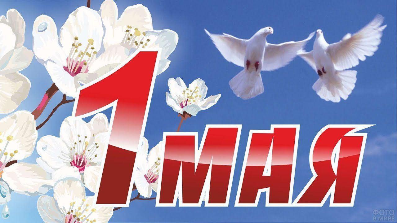«Первомай шагает по стране» выставка-поздравление.