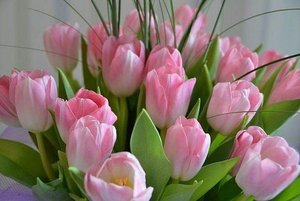 Вечер отдыха «Свет женщины сияет во вселенной»