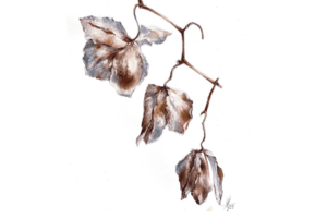 Выставка «Геометрия цвета»