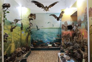 Стационарные экспозиции и выставки музея