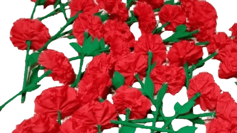 «Гвоздика-символ Победы»