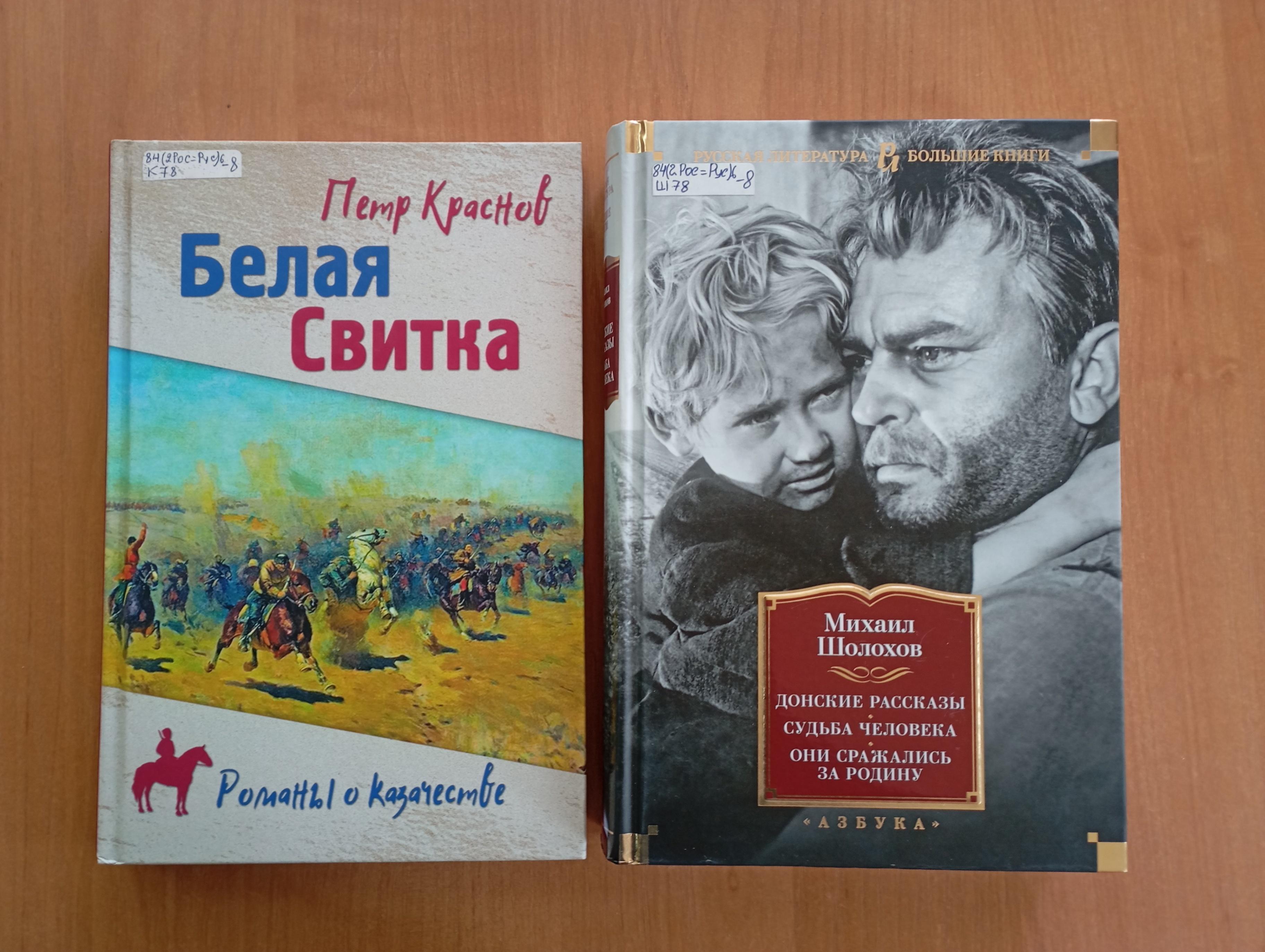Литературный час «Судьба казачества на страницах книг»
