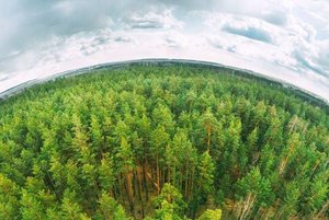 Экологическое путешествие «Заповедной тропой в заповедную даль»