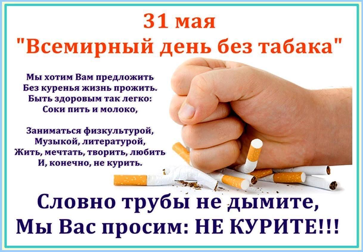 Квест–игра«День без табачного дыма»