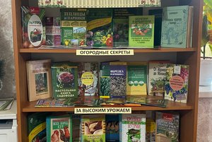 Открытый просмотр «Личное подворье: секреты успеха»