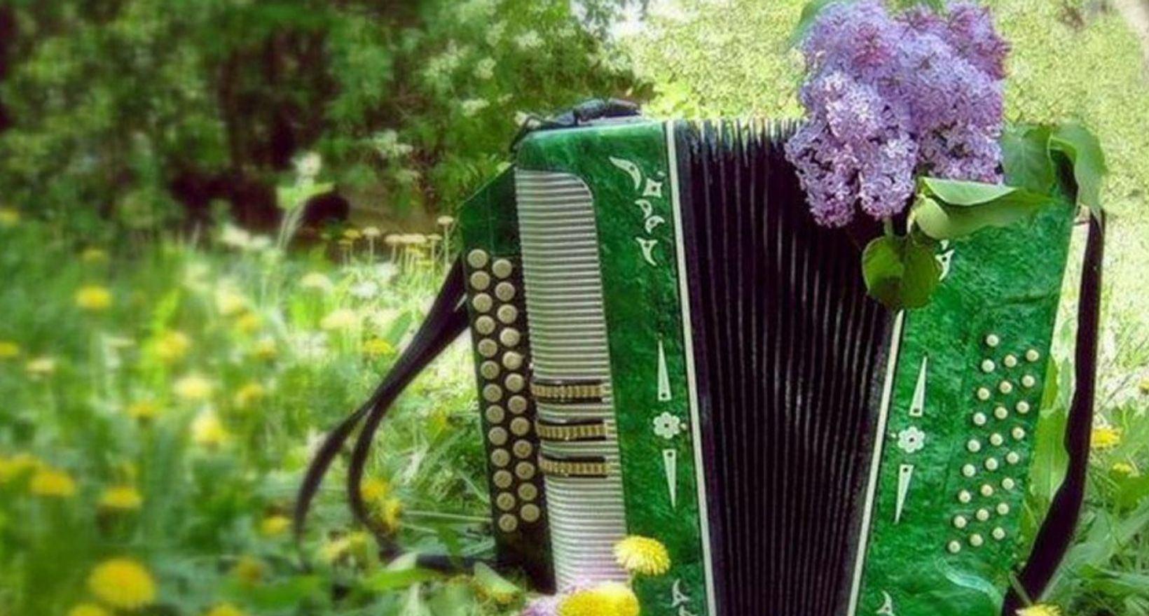 «Август, музыка звучит» посиделки