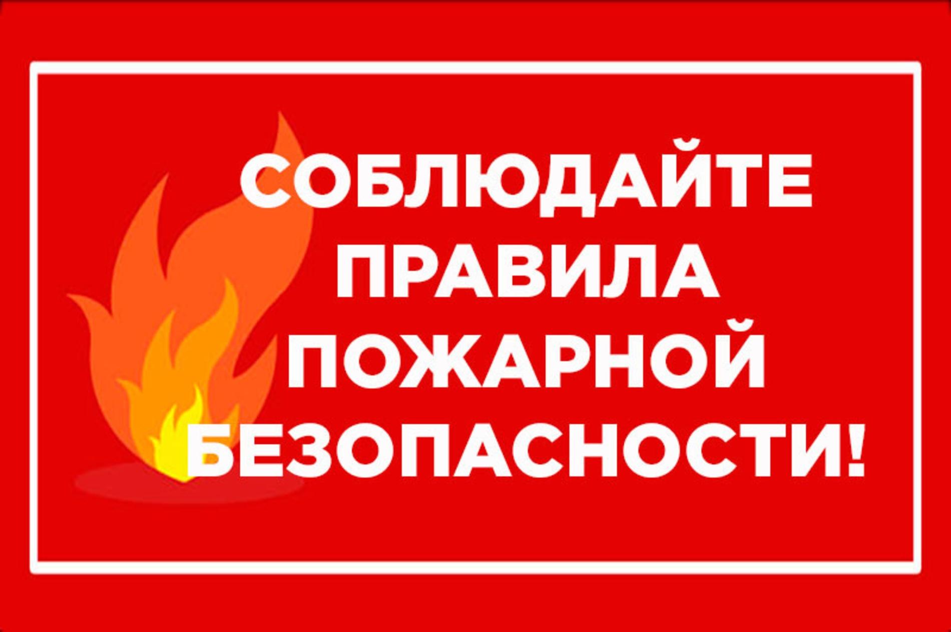 Лекция «Морально-психологическая подготовка населения к действиям в  чрезвычайных ситуациях. Требования правил пожарной безопасности