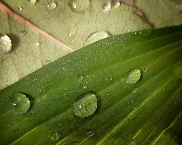 «Фотография. Душенина Александра» – выставка работ учащейся ДХШ им.В.А.Филиппова