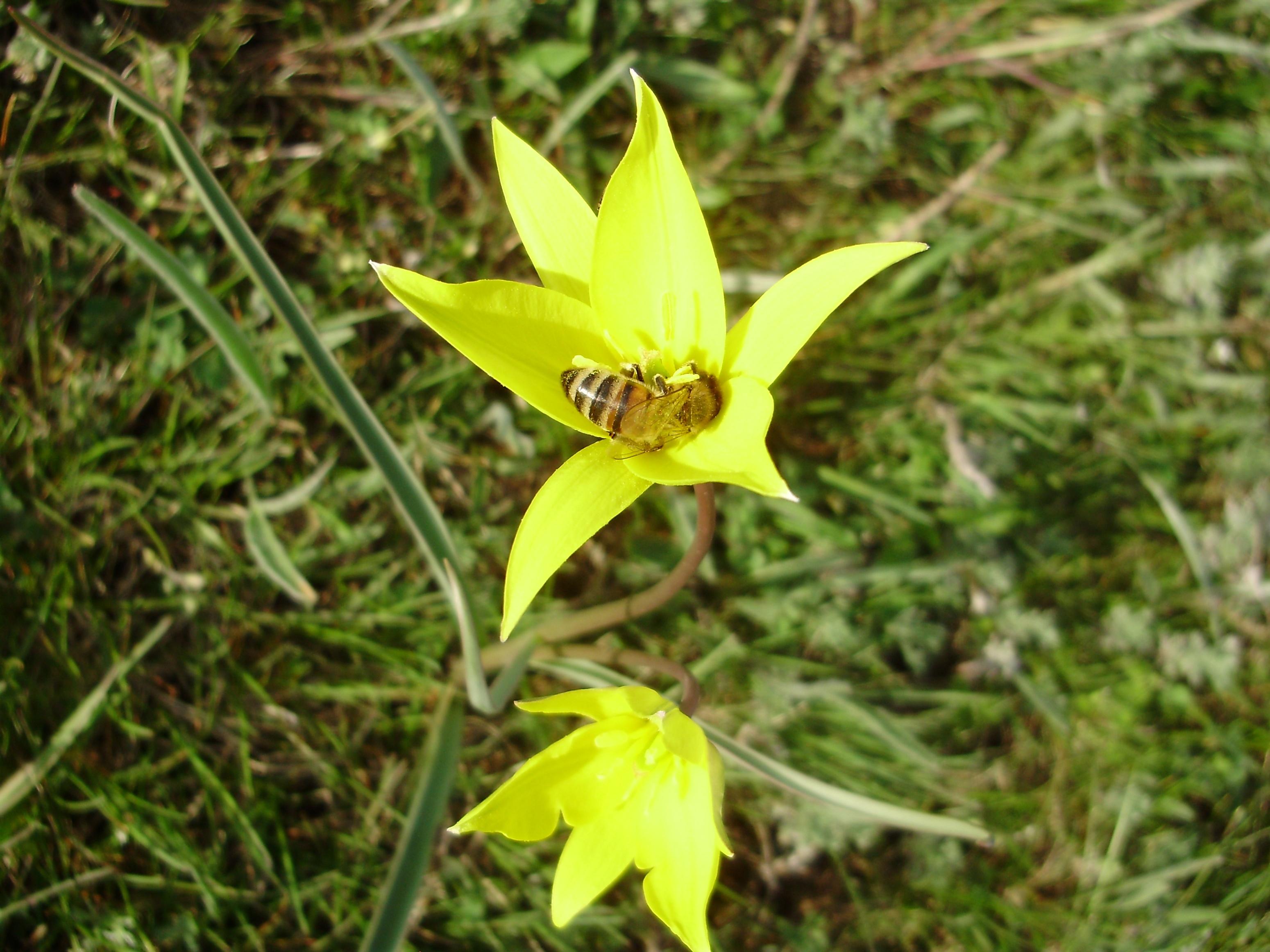 Урок экологических знаний «Живое под охраной»