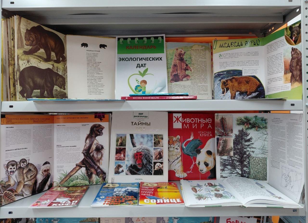 Книжная выставка «Календарь экологических праздников»