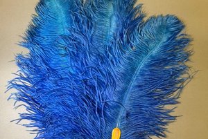 Выставка «Тайна веера»