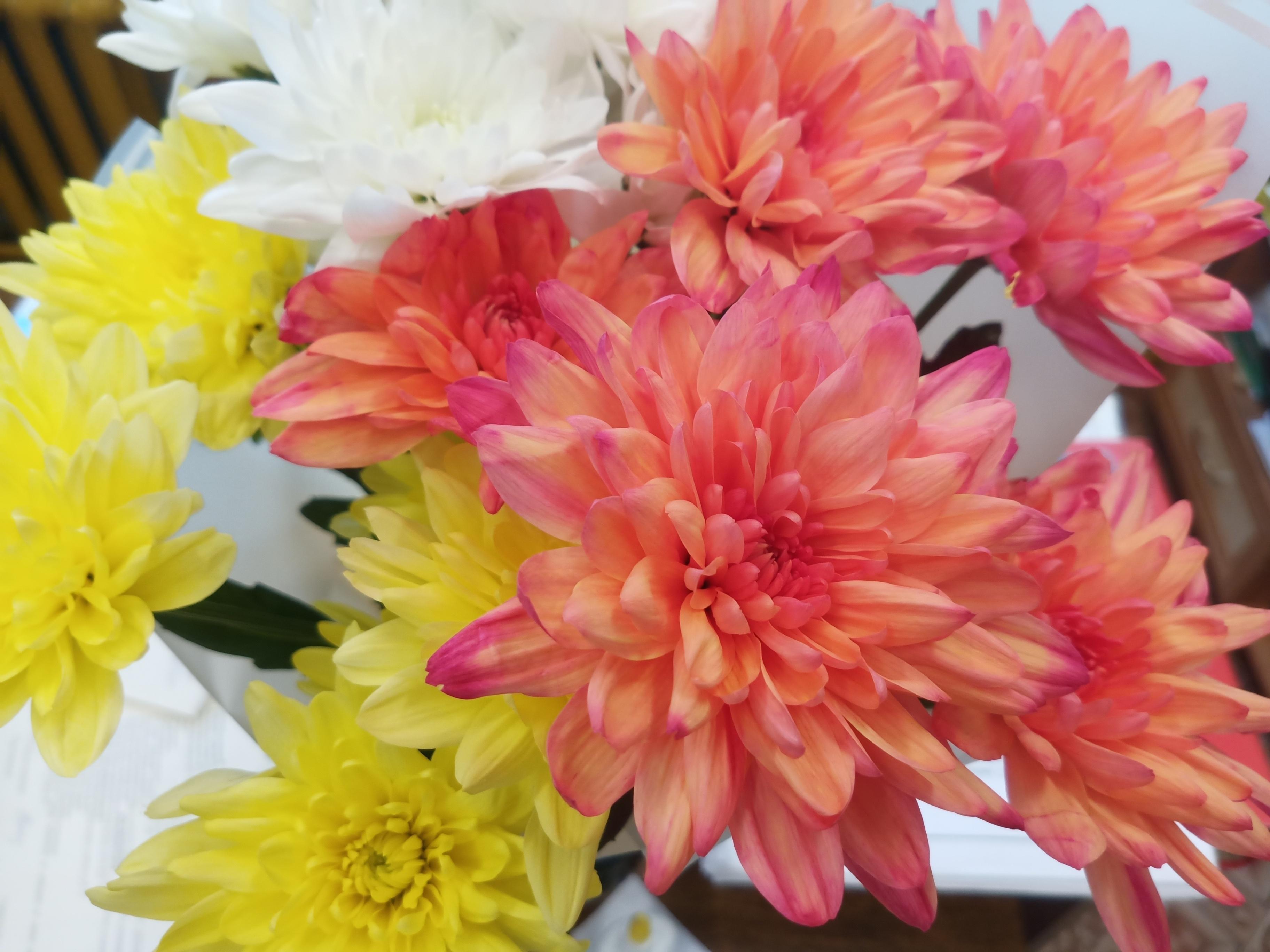 Программа «Конкурс юных музыкантов»