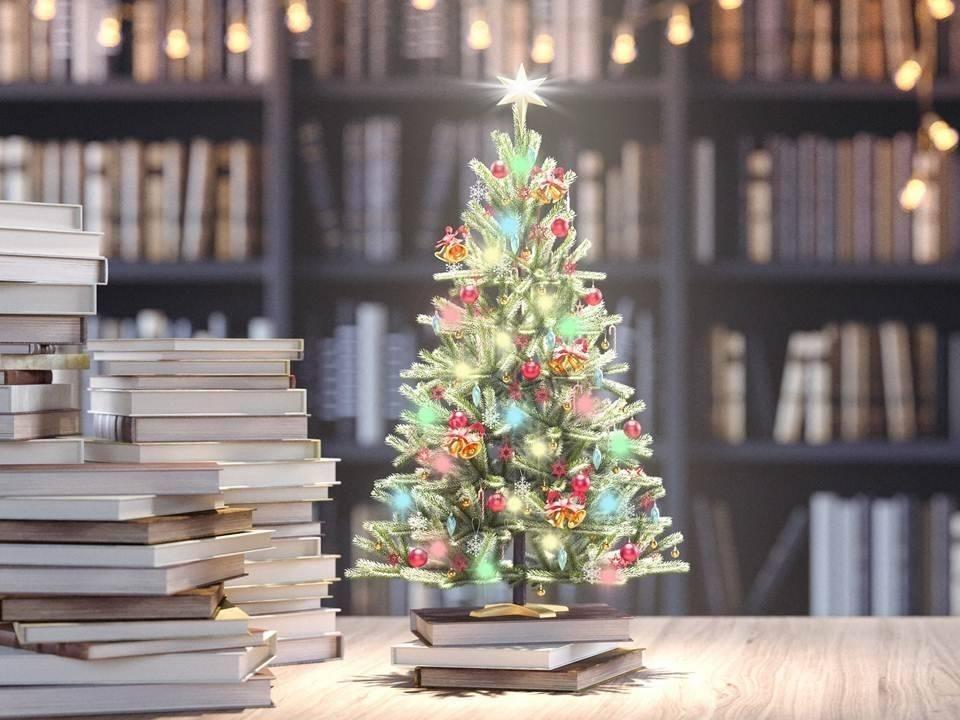 Программа «Новогодний переполох»