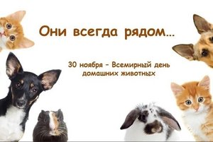 Книжная полка «Наши пушистые друзья»