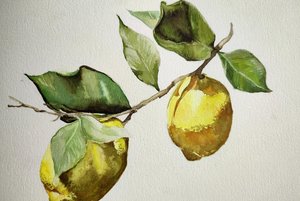 Выставка «Вдохновение природой»