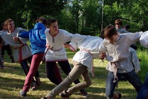 Программа «Донская казарла»