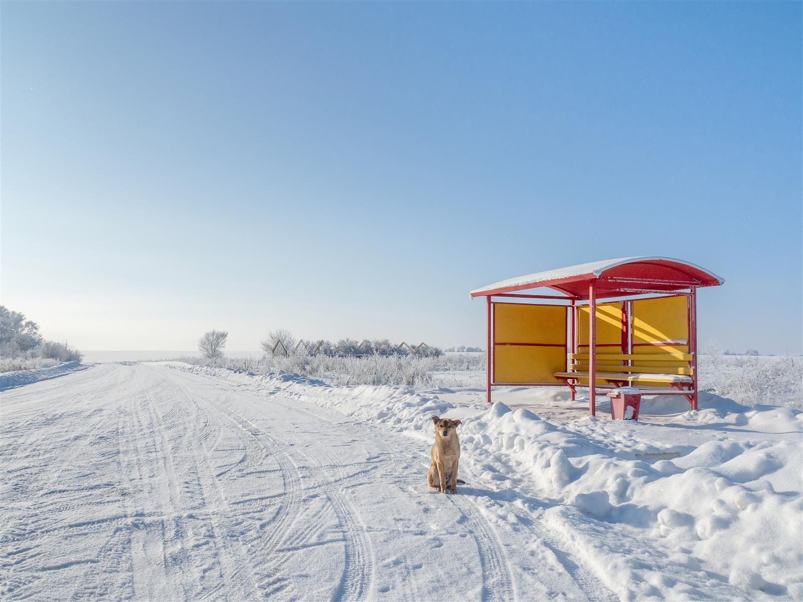 Выставка «Родные места»