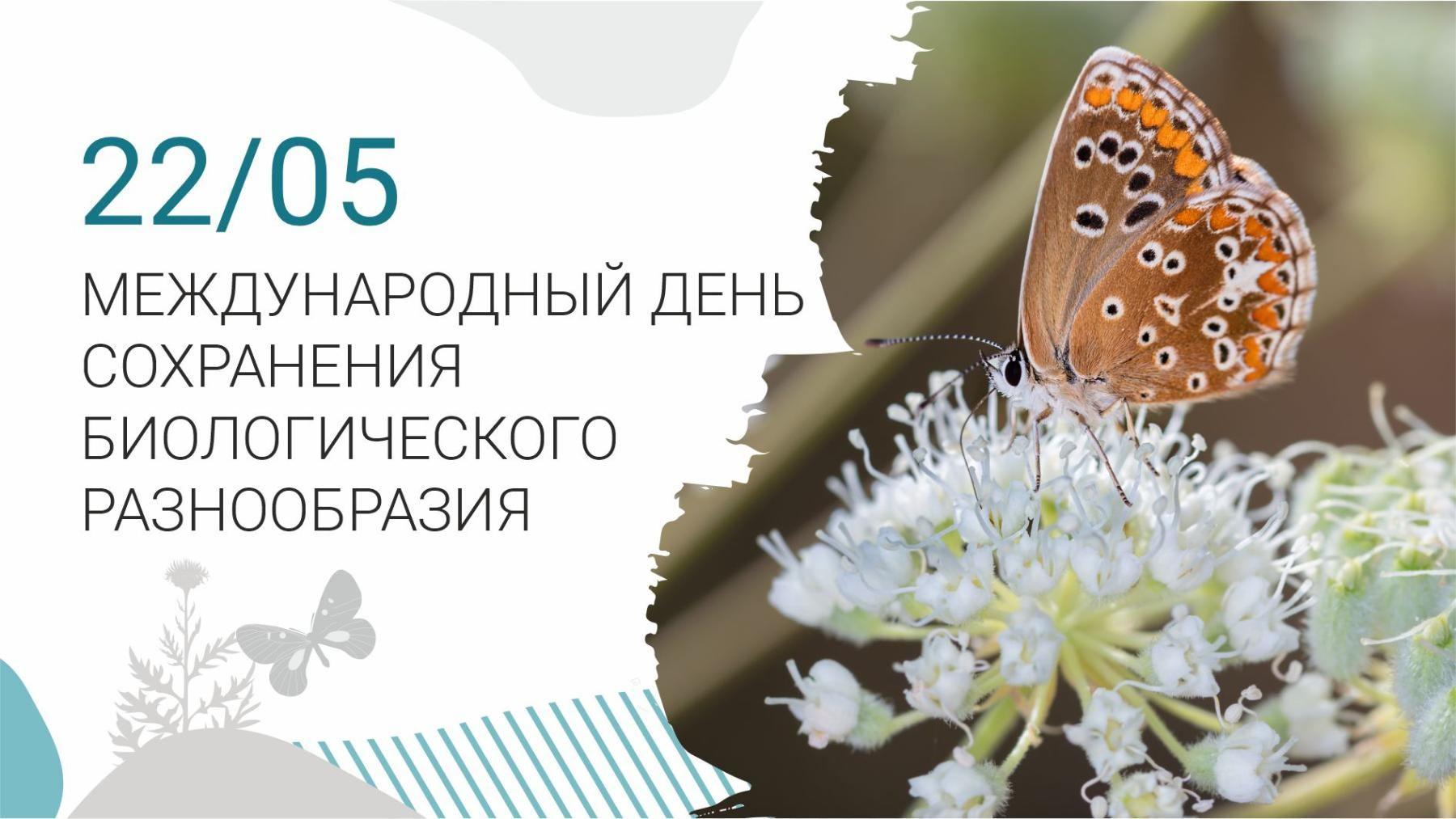Книжная выставка «Многообразие жизни на планете»