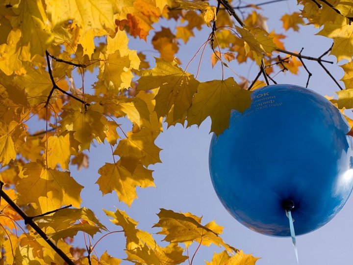 Программа «День почитателей воздушных шариков»