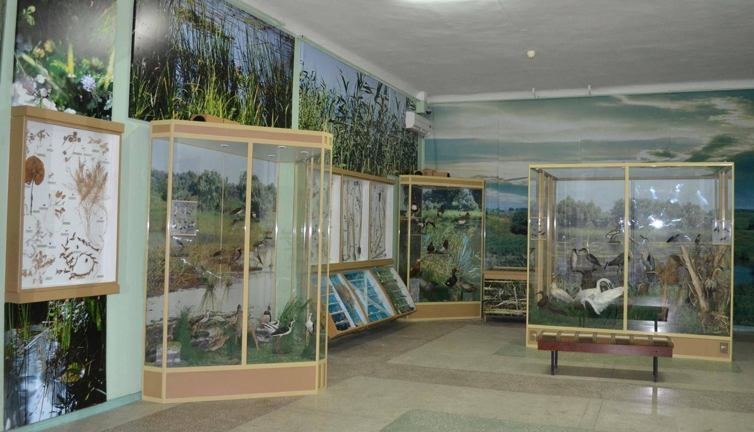 Экспозиция «Природа Нижнего Дона»