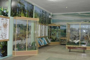 Экспозиция «Природа Нижнего Дона»