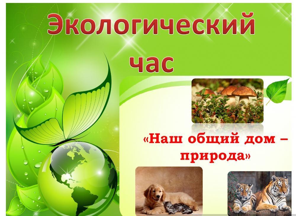 «Наш общий дом - природа»