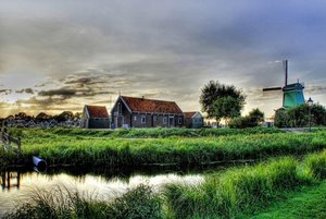 Программа «Родной край»