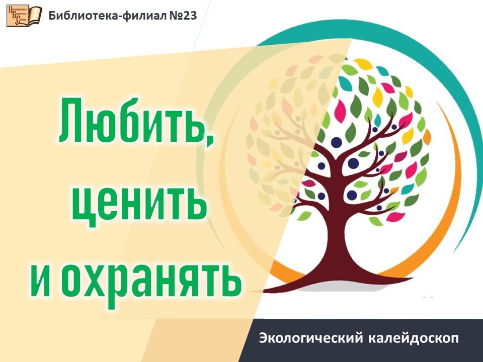 Информационная игра «Любить, ценить и охранять»