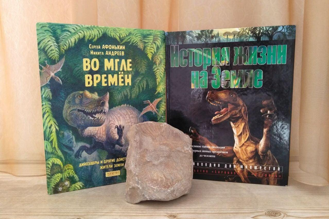Палеонтологическая программа «Изучаем прошлое Донской земли»