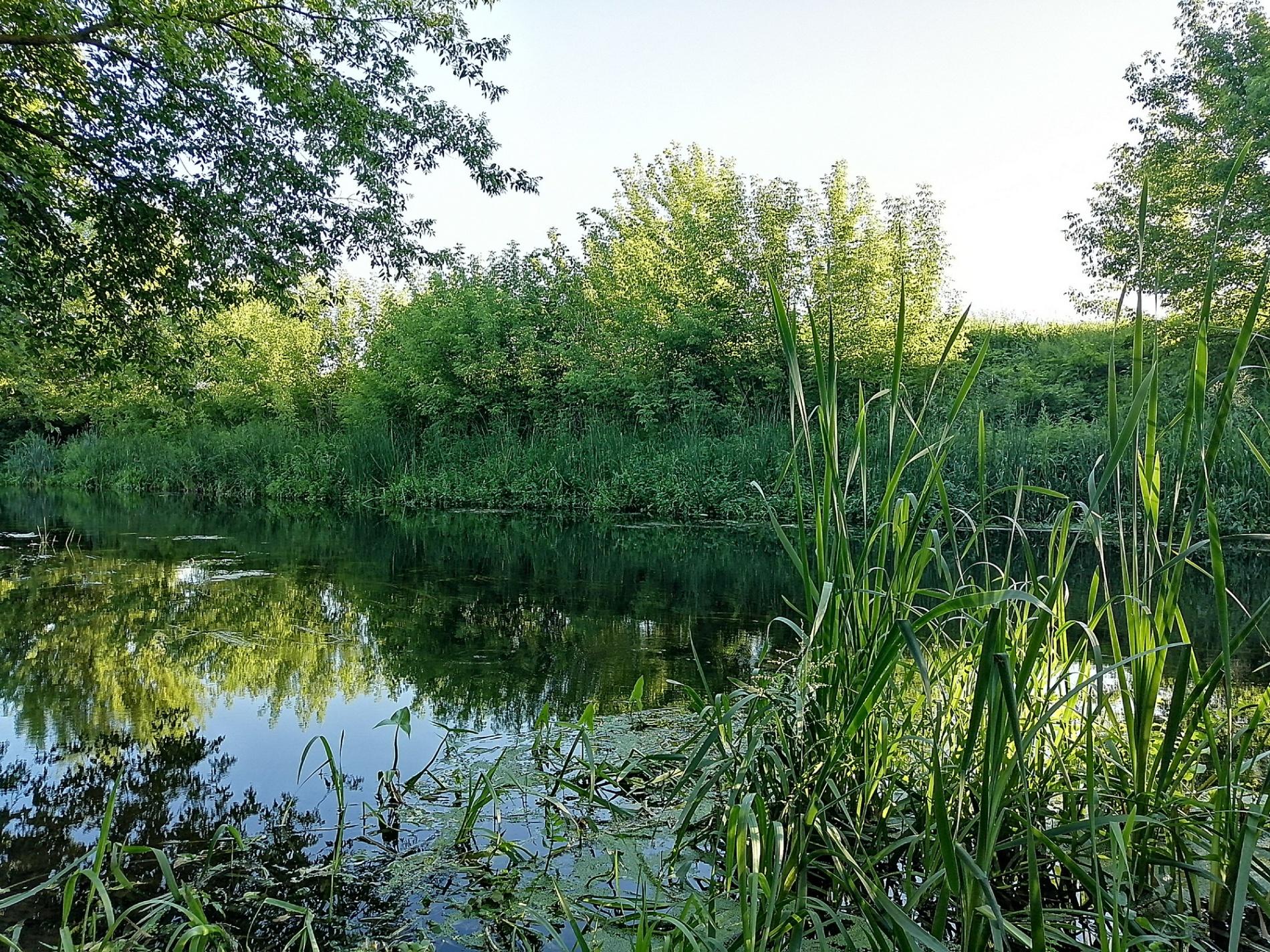 Виртуальная выставка «Воды Дивногорья»