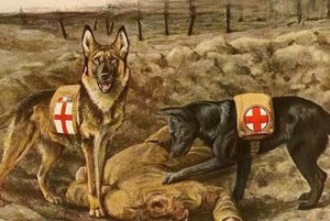 Урок «Неизвестные герои: звери на фронте»