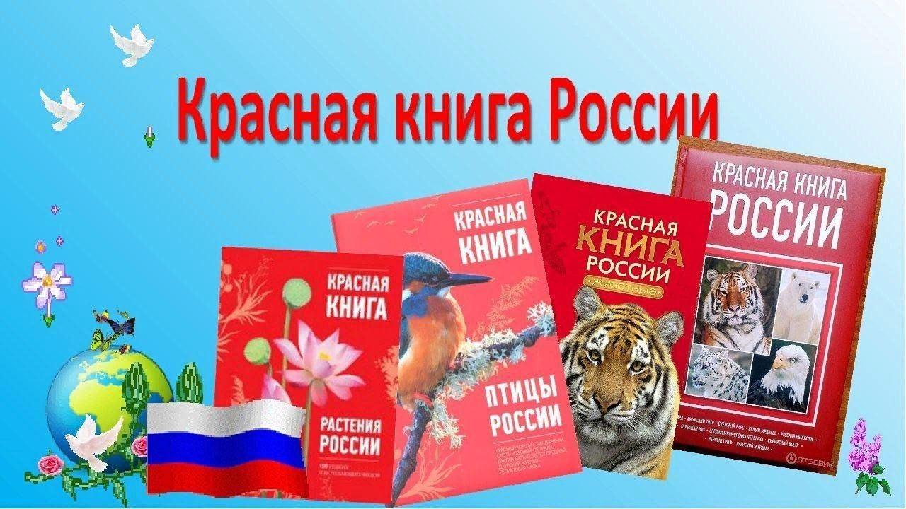 «Красная книга». Познавательный экологический час