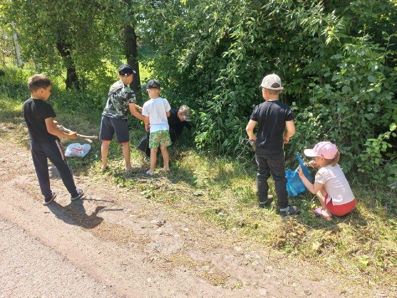 Час полезной информации «Враг природы – это…»