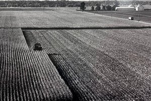 Фотовыставка «В пространстве света»