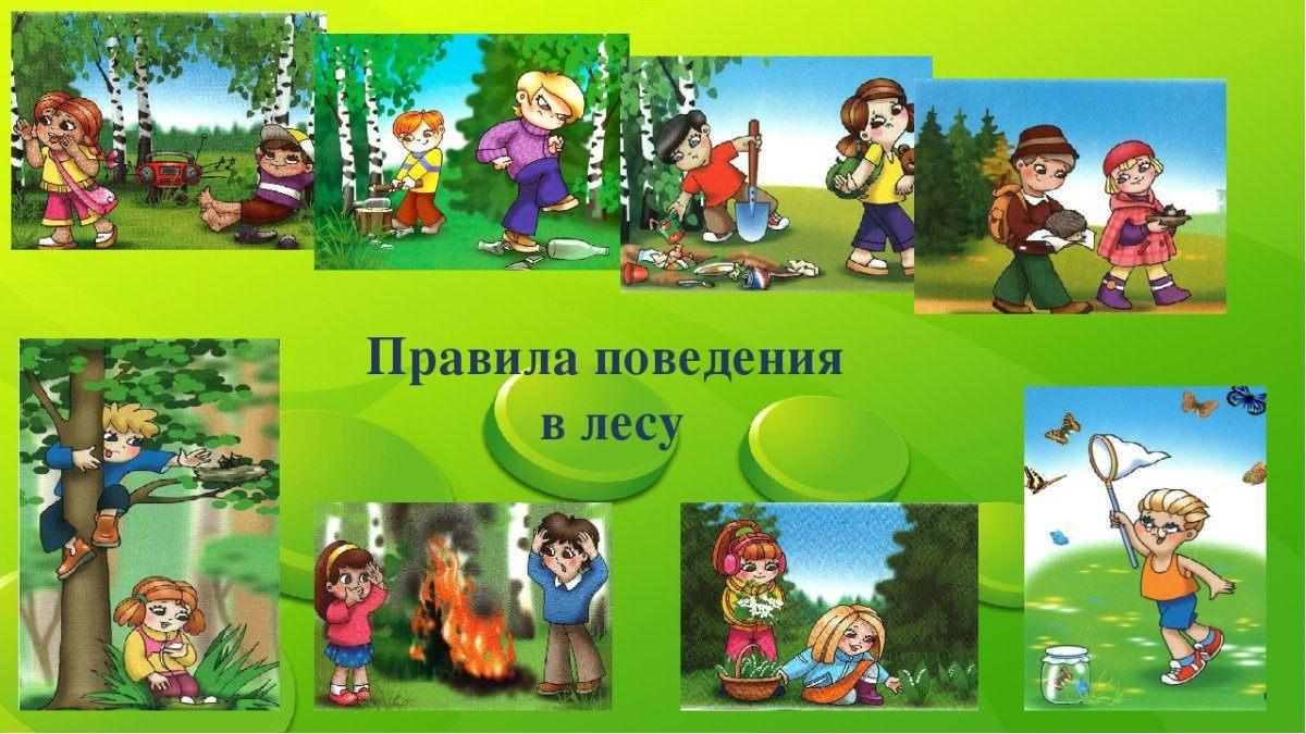 «Правила поведения в лесу»