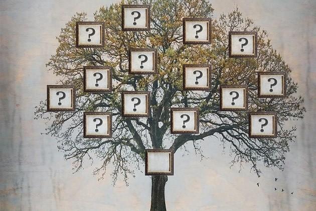 Мастер-класс «Узнай свои корни»