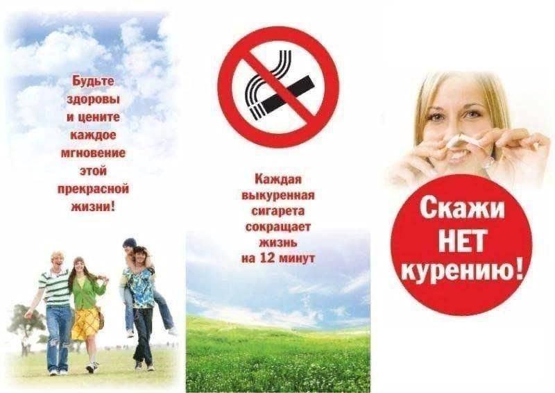Литературная скамейка «Секреты по вашего здоровья»