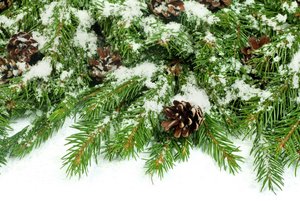 Программа «Зимние традиции Руси»