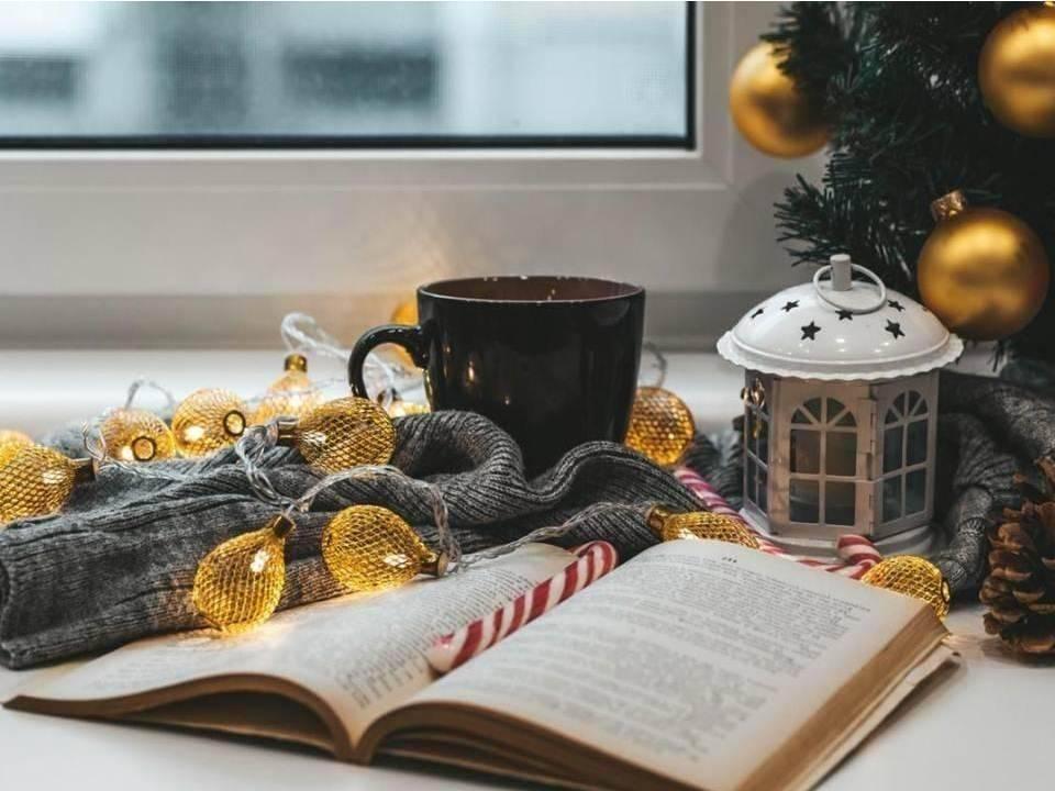 Программа «Новогодние приключения литературных героев»