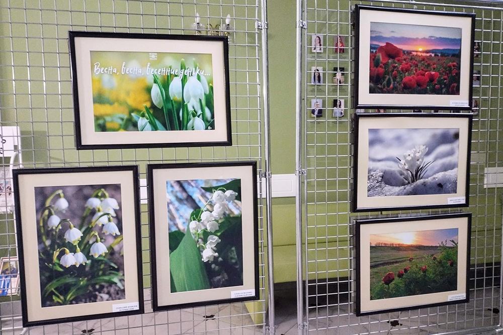 Выставка «Весенняя гармония»