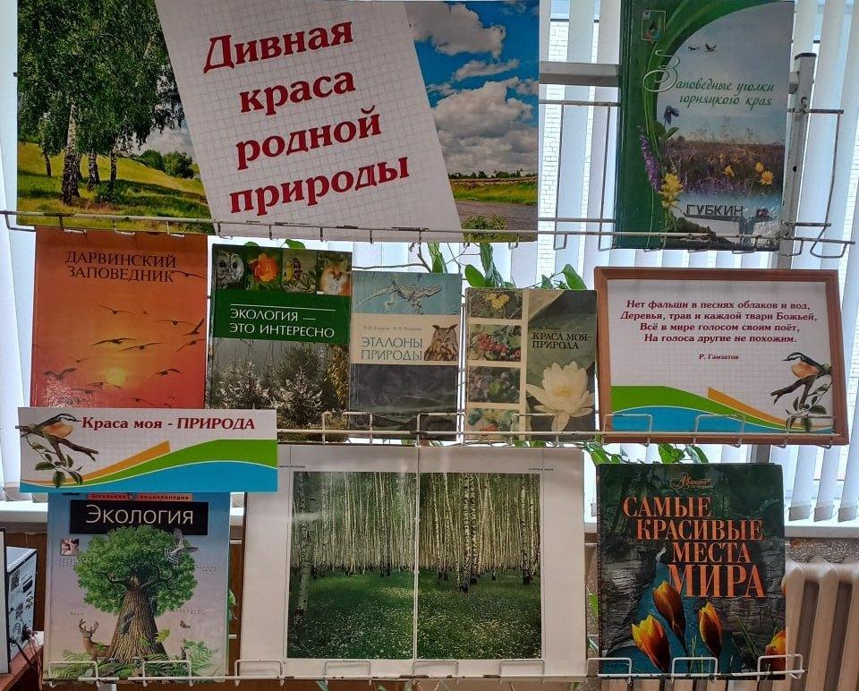 Книжная выставка «Дивная краса родной природы»