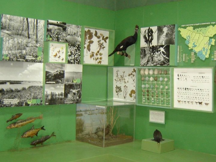 Выставка «Природа Крымского района»