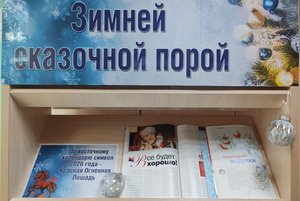Книжная выставка «Зимней сказочной порой»