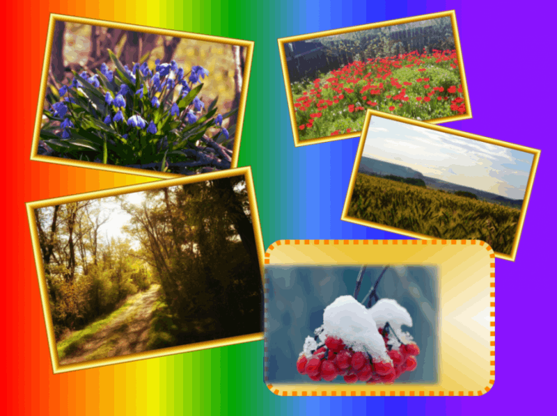 Фотоконкурс «Природа родного края»