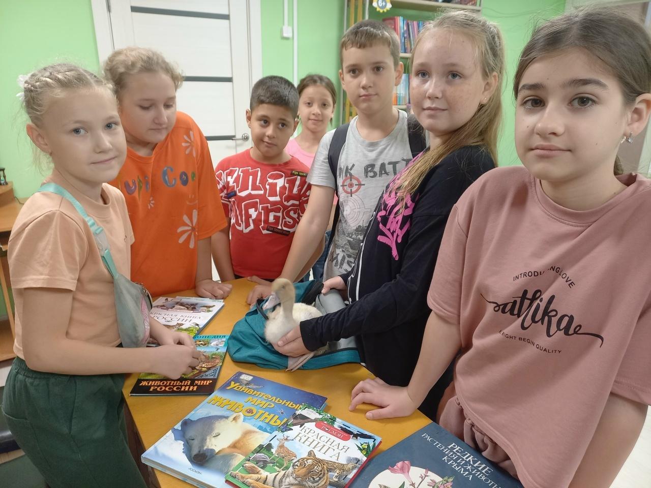 Экологическая викторина «Загадочный мир природы»